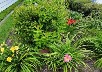 Affordable Flower Bed Cleanup