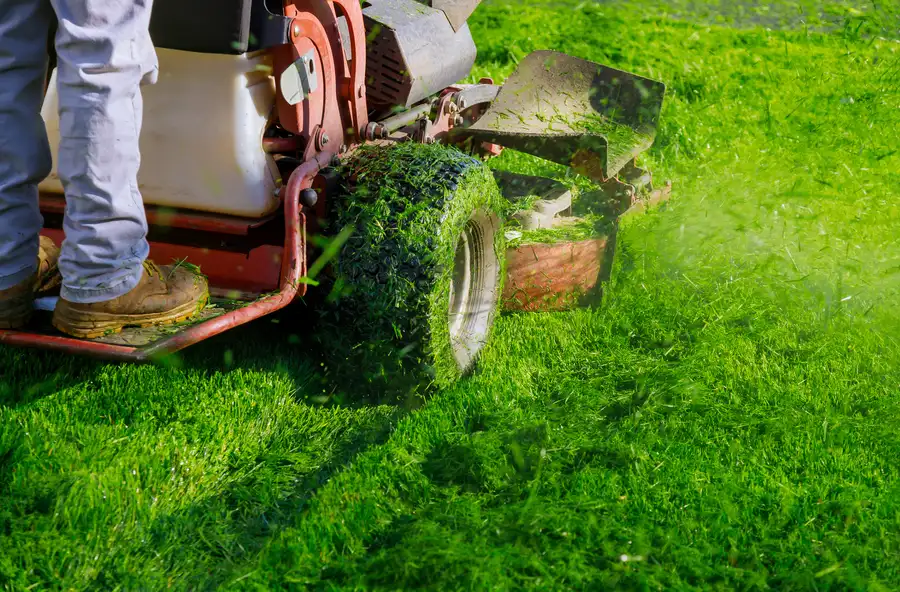 Affordable Lawn Mowing Sanford, MI Affordable Lawn Mowing Sanford, MI
