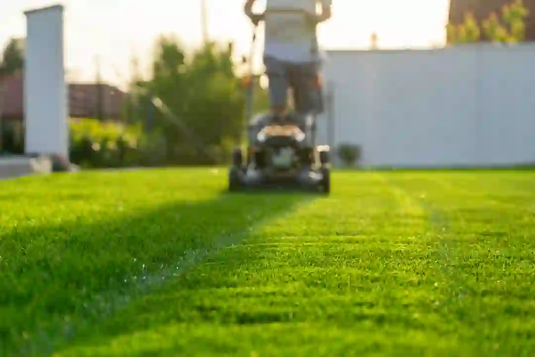 Creating Safe Walkways with Consistent Lawn Mowing in Sanford, MI Creating Safe Walkways with Consistent Lawn Mowing in Sanford, MI