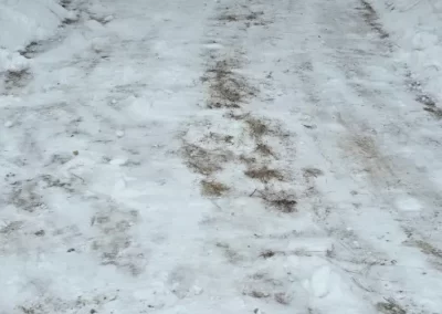 Dependable Winter Cleanup