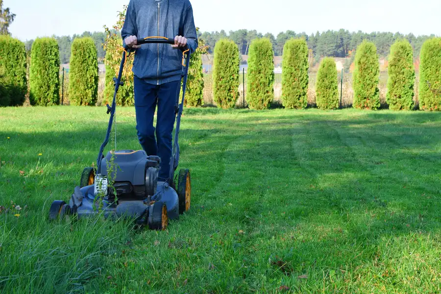 Essential Lawn Mowing Techniques For An Even Finish Sanford, MI Essential Lawn Mowing Techniques For An Even Finish Sanford, MI