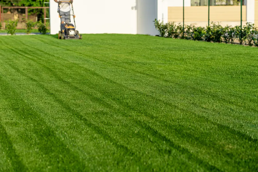 Essential Lawn Mowing Techniques For An Even Finish in Sanford, MI