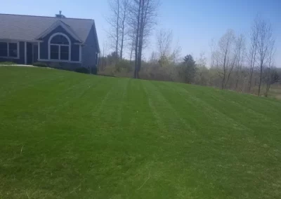 Excellent Lawn Mowing