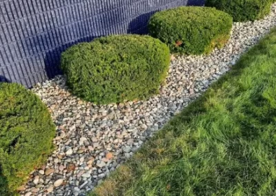 Exceptional Hedge Trimming
