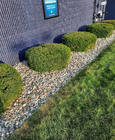 Hedge Trimming