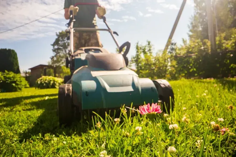 Experienced Grass Cutting Sanford, MI Experienced Grass Cutting Sanford, MI