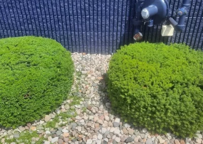 Hedge Trimming (2)