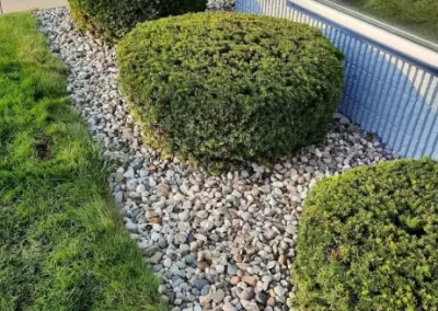 High-quality Hedge Trimming