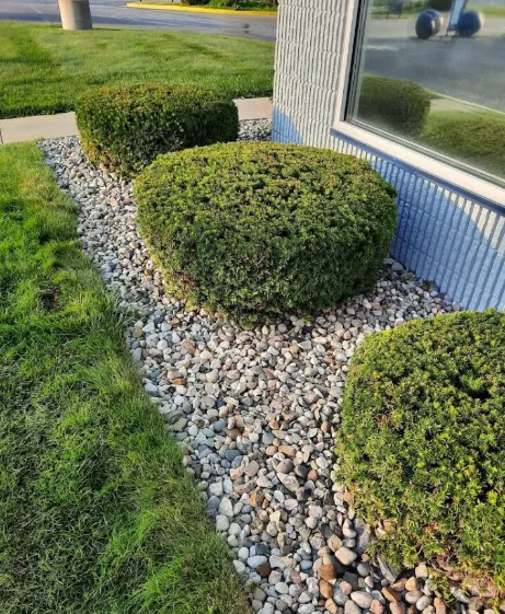 Hedge Trimming