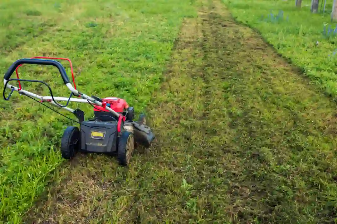 How Lawn Mowing Impacts Commercial Weed Control Sanford, MI How Lawn Mowing Impacts Commercial Weed Control Sanford, MI
