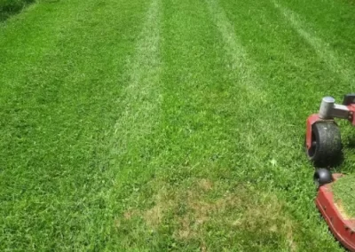 Lawn Mowing (5)