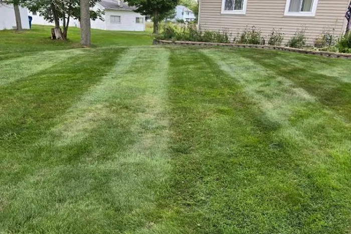 Lawn Mowing Lawn Mowing