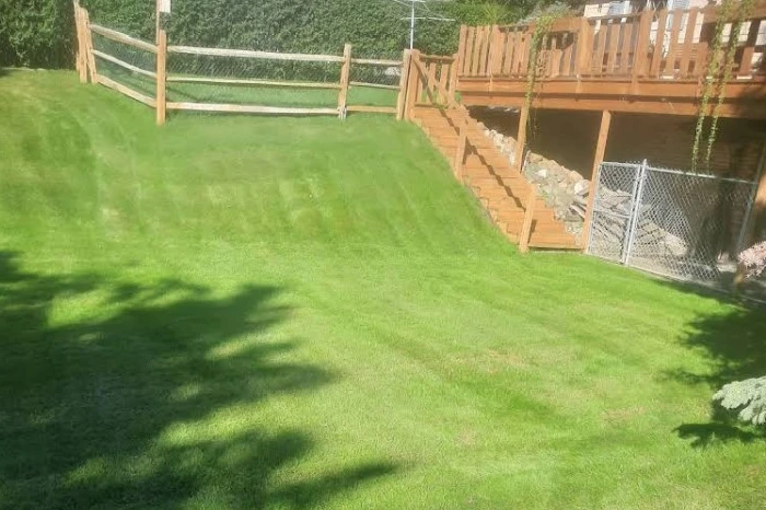 Professional Lawn Care in Sanford, MI