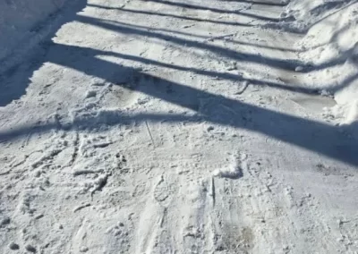 Professional Winter Cleanup