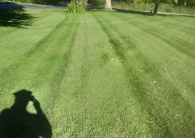 Proficient Lawn Mowing
