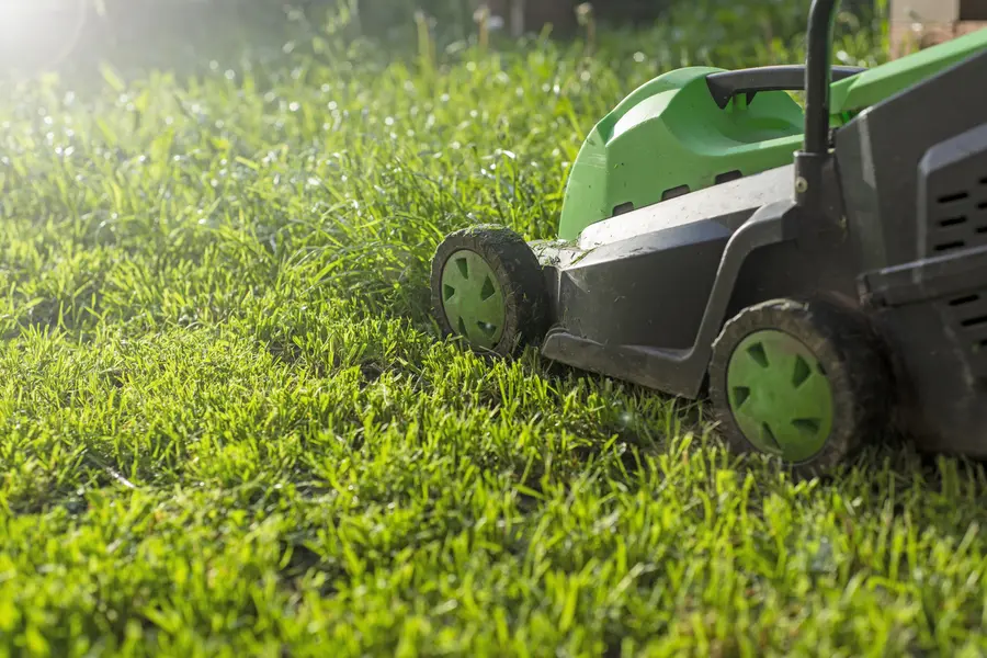Seasonal Considerations For Effective Lawn Mowing in Sanford, MI