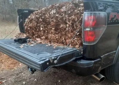 Spring and Fall Cleanup (3)