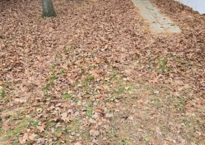 Spring and Fall Cleanup (5)