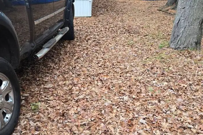 Spring and Fall Cleanup