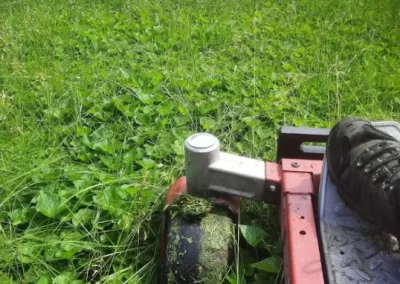 Top-notch Lawn Mowing