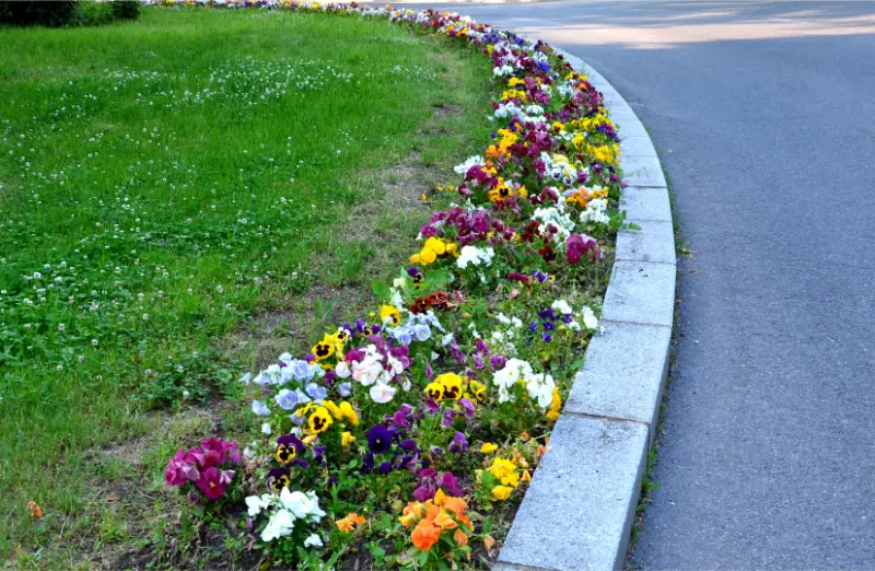 Understanding Edging Types for Residential Landscapes at Sanford, MI Understanding Edging Types for Residential Landscapes at Sanford, MI
